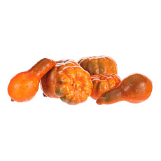 Dýně umělá - mix tvarů, oranžová, cena za balení (6 ks) Dýně umělá - mix tvarů, oranžová, cena za balení (6 ks)