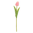Tulipán pěnový - umělý řezaný, barva růžovo-bílá
