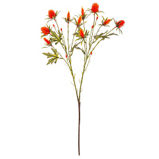 Eryngium - umělý řezaný, barva oranžová