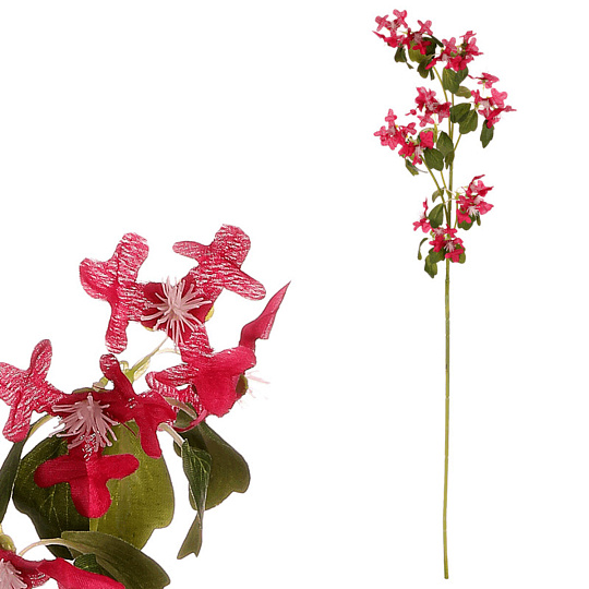 Clematis - umělá řezaná květina, tmavě růžová Clematis - umělá řezaná květina, tmavě růžová
