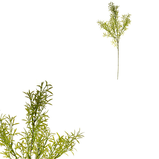Asparagus - umělá větev, barva zelená