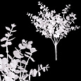 Eukalyptus - umělý trs, barva bílá