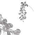 Eukalyptus - umělá převislá větev, barva stříbrná