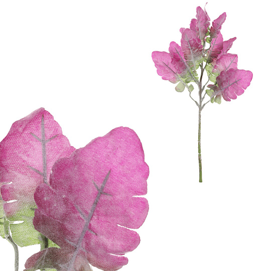 Senecio - umělý trs, zeleno-fialová barva Senecio - umělý trs, zeleno-fialová barva