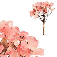Magnolie - umělá řezaná, 6 větviček ve svazku, růžová Magnolie - umělá řezaná, 6 větviček ve svazku, růžová