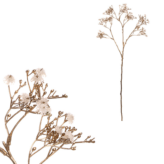 Gypsophila - s pozlacením, bílo-krémová kvítka