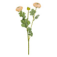 Ranunculus - umělý řezaný, 2 květy a poupě, krémový