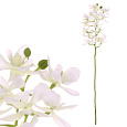 Orchidej drobnokvětá - umělá řezaná, bílá