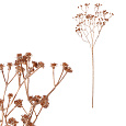 Gypsophila - umělá větev s kvítky, zlatá barva