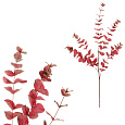 Eukalyptus - umělá větev, velké listy, 110 cm, červený