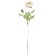 Ranunculus - umělý řezaný, květ a poupě, krémový