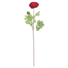Ranunculus - umělý řezaný, květ a poupě, tmavě-růžový