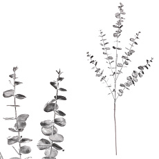 Eukalyptus - umělá větev, barva stříbrná Eukalyptus - umělá větev, barva stříbrná