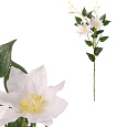 Clematis - umělá řezaná květina, bílá