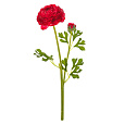 Ranunculus - umělý řezaný, květ s poupětem, tmavě-růžový