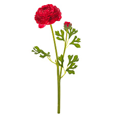 Ranunculus - umělý řezaný, květ s poupětem, tmavě-růžový