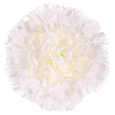 Karafiát - umělý květ, bílý, cena za balení (12 ks) Karafiát - umělý květ, bílý, cena za balení (12 ks)