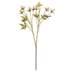 Eryngium - umělý řezaný, barva krémová Eryngium - umělý řezaný, barva krémová
