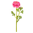 Ranunculus - umělý řezaný, květ s poupětem, světle-růžový