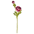 Ranunculus - umělý řezaný, barva fialová