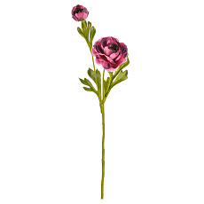 Ranunculus - umělý řezaný, barva fialová Ranunculus - umělý řezaný, barva fialová
