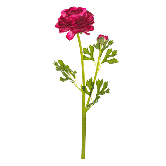Ranunculus - umělý řezaný, květ s poupětem, fialový Ranunculus - umělý řezaný, květ s poupětem, fialový