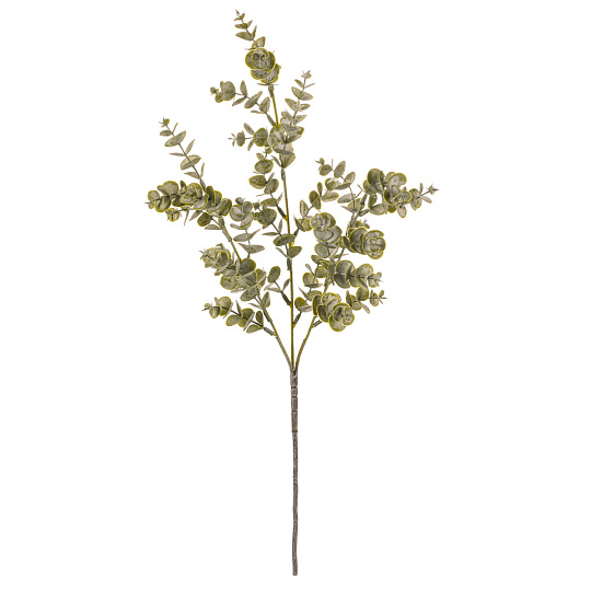 Eukalyptus - umělý trs, ojíněný, barva zelená Eukalyptus - umělý trs, ojíněný, barva zelená