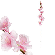 Gladiola - umělá řezaná, barva světle růžová Gladiola - umělá řezaná, barva světle růžová