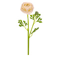 Ranunculus - umělý řezaný, květ s poupětem, krémový