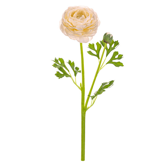 Ranunculus - umělý řezaný, květ s poupětem, krémový