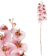 Orchidej - umělá řezaná, zlaté zdobení, růžová