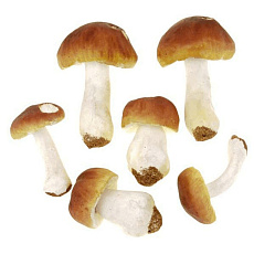 Houba - hříbek, umělá dekorace, mix druhů, cena za balení (6 ks) Houba - hříbek, umělá dekorace, mix druhů, cena za balení (6 ks)