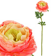 Ranunculus - umělá řezaná květina, barva růžovo-žlutá
