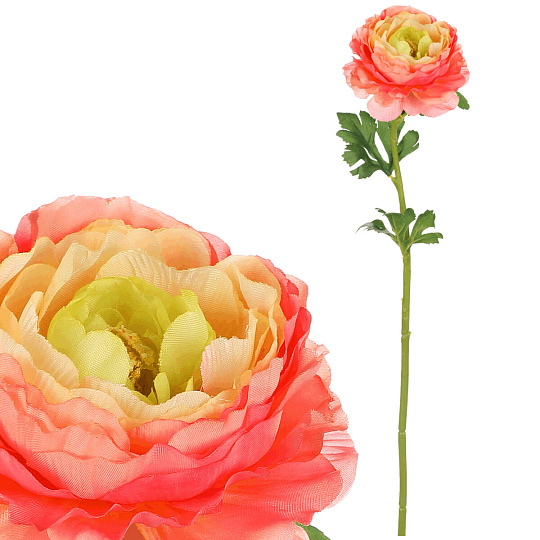 Ranunculus - umělá řezaná květina, barva růžovo-žlutá Ranunculus - umělá řezaná květina, barva růžovo-žlutá