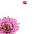 Gerbera - umělý květ na stonku, fialový