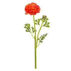 Ranunculus - umělý řezaný, květ s poupětem, oranžový