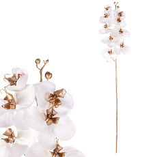 Orchidej - umělá řezaná, zlaté zdobení, bílá Orchidej - umělá řezaná, zlaté zdobení, bílá
