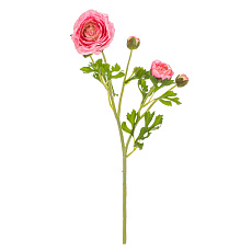 Ranunculus - umělý řezaný, květy s poupaty, tmavě růžový