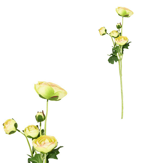 Ranunculus - umělý řezaný, 5 květů, zelená barva
