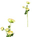 Ranunculus - umělý řezaný, 5 květů, zelená barva