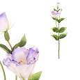 Eustoma - umělá řezaná květina, fialová