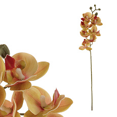 Orchidej - umělá řezaná, tmavě růžová Orchidej - umělá řezaná, tmavě růžová