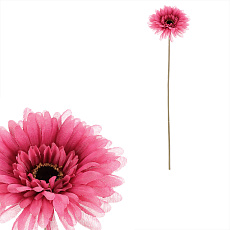 Gerbera - umělý květ na stonku, barva růžová Gerbera - umělý květ na stonku, barva růžová