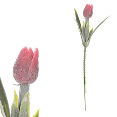 Tulipán mini - zápich, červený, omrznutý, cena za 1 ks Tulipán mini - zápich, červený, omrznutý, cena za 1 ks
