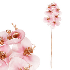 Orchidej - umělá řezaná, zlaté zdobení, růžová Orchidej - umělá řezaná, zlaté zdobení, růžová