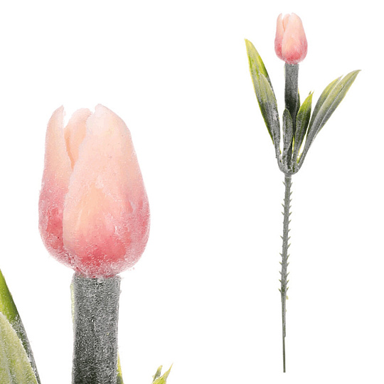 Tulipán mini - zápich, meruňkový, omrznutý, cena za 1 ks Tulipán mini - zápich, meruňkový, omrznutý, cena za 1 ks