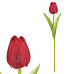 Tulipán mini - umělý pěnový, barva červená