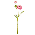 Ranunculus - umělý řezaný, barva světle růžová