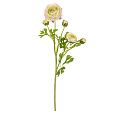 Ranunculus - umělý řezaný, květy s poupaty, bílý