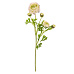 Ranunculus - umělý řezaný, květy s poupaty, bílý